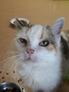 20201206_133435_resized