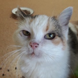 20201206_133435_resized