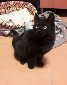 20210128_191526_resized