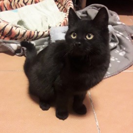 20210128_191526_resized