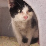 20210130_162056_resized