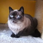 54f19a191cfb2d632604cbf3370c53ba