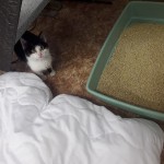 20210211_153137_resized