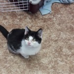 20210211_153502_resized_1