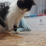 20210211_153525_resized_1