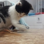 20210211_153527_resized_1