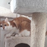 20210213_142424_resized