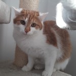 20210213_142441_resized