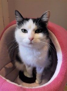 20210213_150155_resized