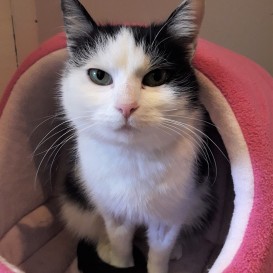 20210213_150155_resized