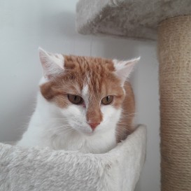 20210213_151238_resized