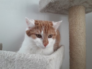 20210213_151238_resized