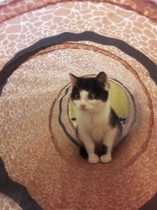 20210213_161147_resized