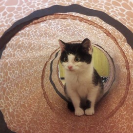 20210213_161147_resized