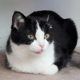 20210214_154232_resized