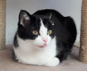 20210214_154232_resized