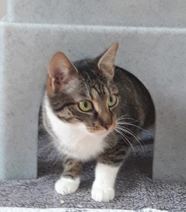 20210215_151251_resized_1