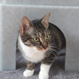 20210215_151251_resized_1