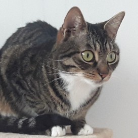 20210215_151811_resized