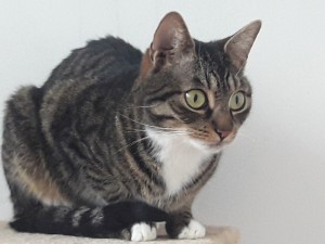 20210215_151811_resized