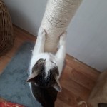 20210215_152209_resized