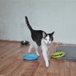 20210215_152331_resized_1