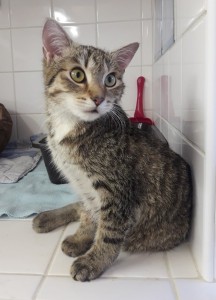 153506228_3917134331680446_6627407884774752391_o