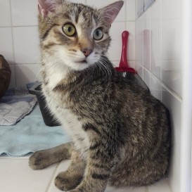 153506228_3917134331680446_6627407884774752391_o