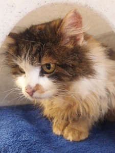 20210302_142139_resized