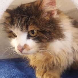 20210302_142139_resized