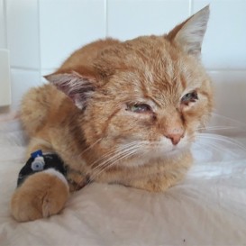 20210307_112437_resized