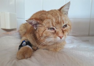 20210307_112437_resized