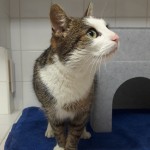 20210316_173817_resized