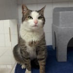 20210316_174912_resized