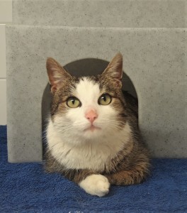 20210316_175614_resized