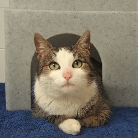 20210316_175614_resized