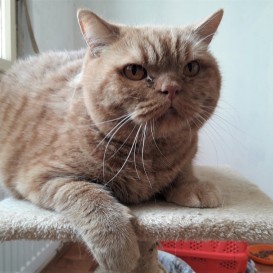 20210320_133648_resized