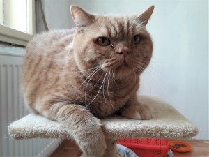 20210320_133648_resized