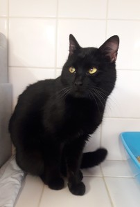 20210322_163210_resized