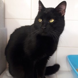 20210322_163210_resized