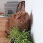 20210329_115204_resized