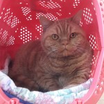 20210329_125124_resized