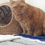 20210329_125202(0)_resized