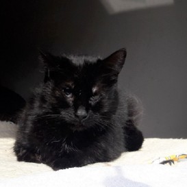 20210411_105858_resized