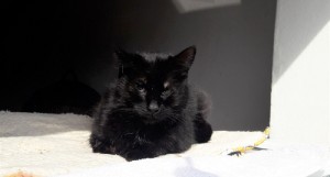 20210411_105858_resized