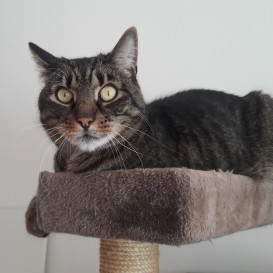 20210413_124428_resized