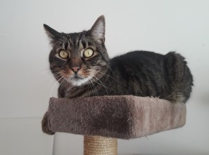 20210413_124428_resized