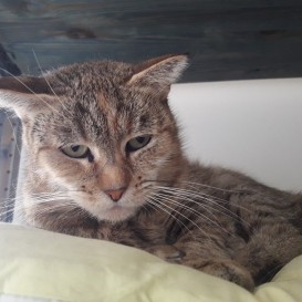 20210414_115001_resized