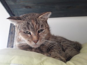 20210414_115001_resized