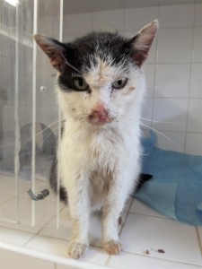 20210415_105923_resized